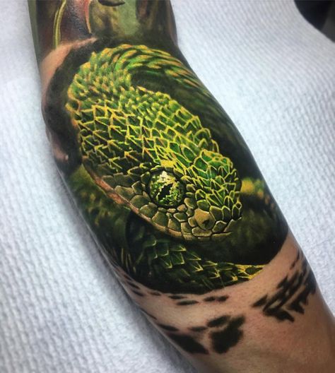 Bush Viper by Ben Kaye, an artist based in Orewa, New Zealand. Snake Tattoo Meaning, Tatuaje Trash Polka, Viper Snake, Scale Tattoo, Snake Tattoos, Snake Tattoo Design, Octopus Tattoo, Snake Art, Diy Tattoo