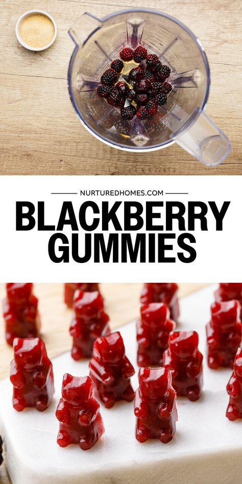 How to Make Blackberry Gummy Bears - Nurtured Homes Sour Gummies Recipe, Blackberry Recipes Easy, Gummy Bears Recipe, Watermelon Gummies, Homemade Gummy Bears, Healthy Gummies, Blackberry Dessert, Homemade Gummies, Gummies Recipe