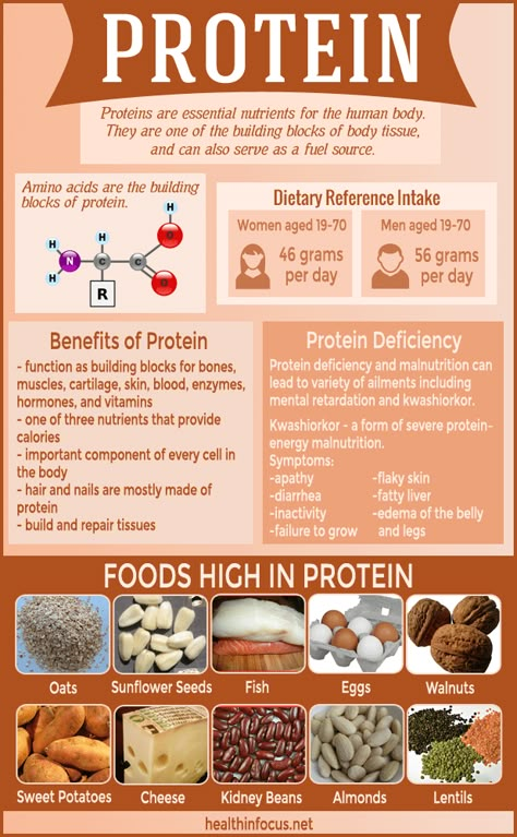 Herbs Health & Happiness 7 Signs Of Protein Deficiency Plus 10 Naturally Protein-Rich Foods - Herbs Health & Happiness Protein Deficiency, Food Nutrition Facts, Seafood Meals, Protein Rich Foods, Nutrition Education, Proper Nutrition, Food Nutrition, Protein Snacks, Health Facts