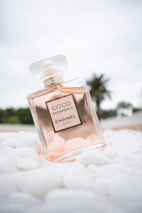 Perfume Product Shoot, Coco Mademoiselle Perfume, Summer Reset, Summer Cosmetic, Mademoiselle Perfume, Perfume Product, Coco Chanel Mademoiselle, Pheromone Perfume, Shoot Photography