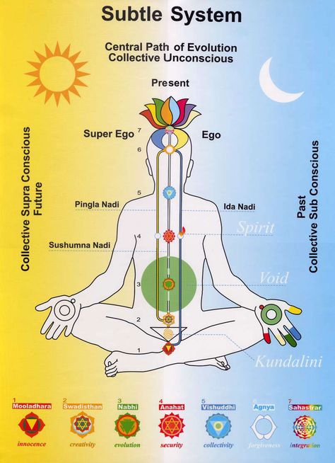 The Seven Chakras & 72 Lakh Nadis | AumShiva Nervus Vagus, Sahaja Yoga Meditation, Manipura Chakra, Sahaja Yoga, Yoga Kundalini, Channeling Energy, Kundalini Awakening, Chakra System, Meditation Mantras