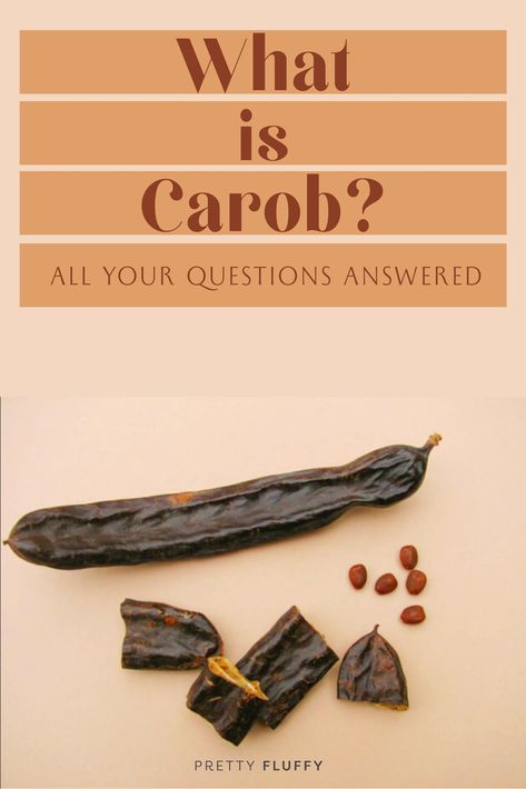 What is Carob? All Your Questions Answered. We’re sure you have plenty of questions about carob chocolate for dogs - that’s why we’ve put together this handy guide with everything you need to know! Visit prettyfluffy.com. Chocolate Substitute, Vegetarian Dog Treats, Carob Recipes, Easter Dog Treats, Healthy Dog Biscuits, Carob Chocolate, No Bake Dog Treats, Holiday Dog Treats, Dog Treats Grain Free