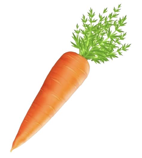 Carrot Mask, Red Carrot, Vegetable Cartoon, Vegetable Pictures, Digital Food, Carrot Greens, Illustrator Design Tutorial, Human Body Systems, Plant Labels