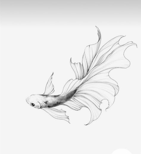 Guppy Fish Drawing, Betta Fish Drawing, Pez Koi Tattoo, Fish Tattoo Design, Tattoo Fish, Tatoo Styles, Black Line Tattoo, Pineapple Tattoo, Virgo Tattoo