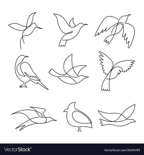 Simple Bird Line Drawing, Birds Line Drawing, One Line Bird Drawing, Line Work Bird Tattoo, One Line Drawing Bird, One Line Animal Drawing, Bird Line Tattoo, One Line Drawing Animals, White Bird Drawing