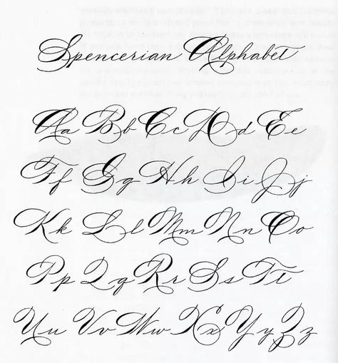 Spencerian Calligraphy Alphabet, Spencerian Script Alphabet, Spencerian Alphabet, Script Lettering Alphabet, Spencerian Handwriting, Copperplate Alphabet, Spencerian Penmanship, Spencerian Script, Calligraphy Letters Alphabet