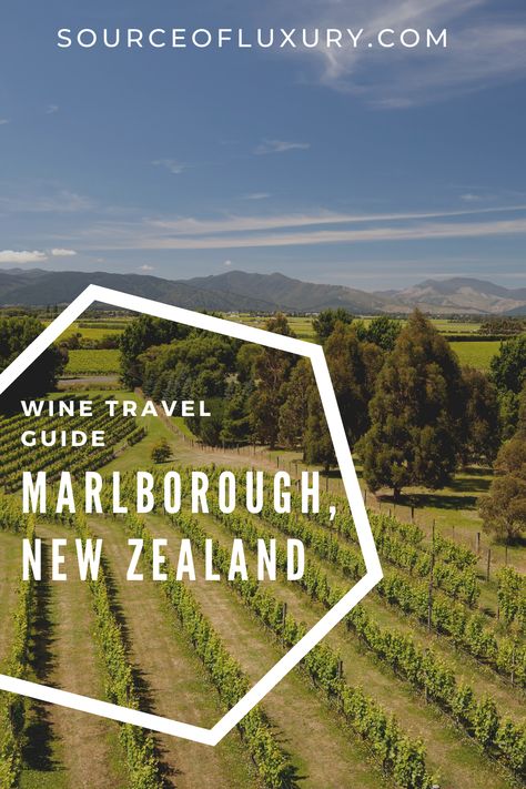 Ensure you visit the best wineries in Marlborough, New Zealand with my travel guide. All top wineries are listed. #marlborough #vineyard #winery #winetasting #newzealand Underground Cellar, Marlborough New Zealand, Cloudy Bay, Alan Scott, Marlborough Sounds, Grape Varieties, Bucket List Vacations, Shady Tree, Winery Tours