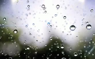 Rain Droplets GIF - Rain Droplets Water - Discover & Share GIFs Rain Animation, Rain Gif, Nagisa Shiota, Full Metal Jacket, Beautiful Disaster, Make It Rain, When It Rains, Pop Songs, Hello Spring