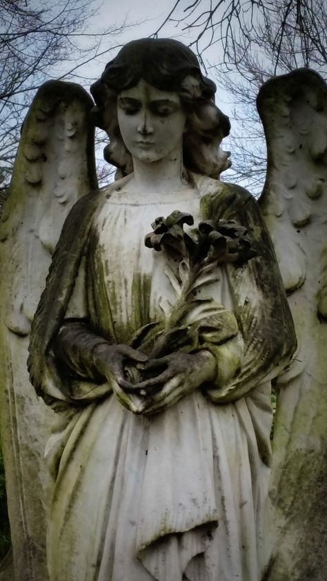 Lafayette Cemetery, Cemetery Angels, Highgate Cemetery, Cemetery Statues, Ancient Greek Sculpture, I Believe In Angels, Angel Statue, Angel Sculpture, Angel Images