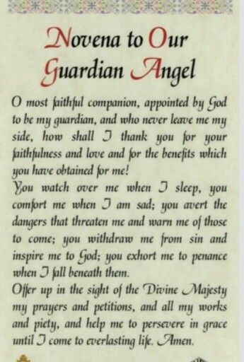 Guardian Angel Prayer, Guardian Angels Prayer, Catholic Beliefs, Novena Prayers, Angel Prayers, Special Prayers, Beautiful Prayers, Daily Prayers, Divine Mercy