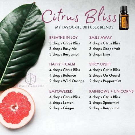 Natalie Blackburne on Instagram: “I normally call Citrus Bliss the Grumpy Husband or Grumpy House blend! But today I'll call it the Grumpy Nat Blend!! 😜  Yep it's a…” Doterra Citrus Bliss Diffuser Blends, Essential Oils For Energy, Doterra Citrus Bliss, Oils And Their Benefits, Oils For Energy, Doterra Oils Recipes, Essential Oil Usage, Crash And Burn, Doterra Blends