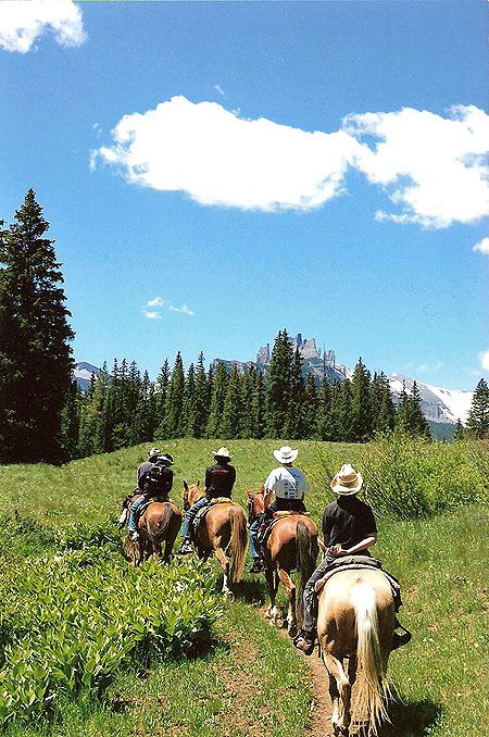 all day trail rides with a picnic lunch Group Horse Riding, Camping With Horses, Horse Trekking, Ranching Life, Horse Land, Cowboy Character, Horse Camping, Make America Cowboy Again, Trail Riding Horses