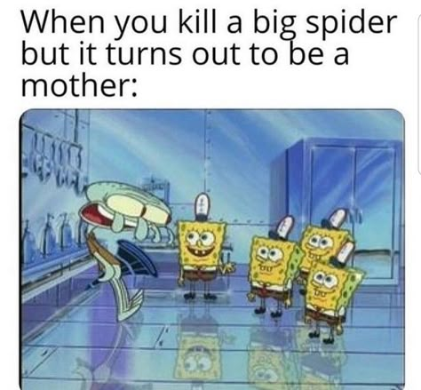 Star Wars Meme, Meme Page, Spongebob Funny, True Memes, Sponge Bob, Spongebob Memes, Roblox Memes, Fresh Memes, Star Wars Memes