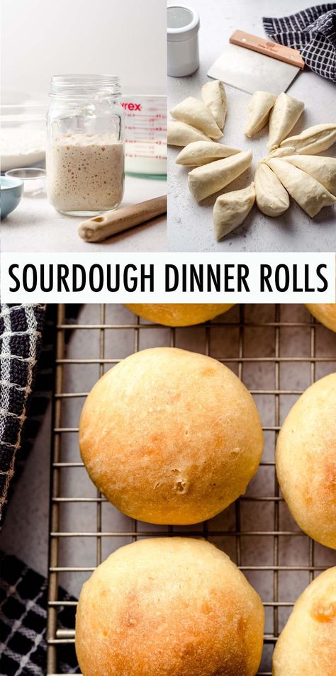 This sourdough dinner roll recipe is made with active starter resulting in soft, fluffy, buttery rolls with that signature sourdough tang. | sourdough dinner rolls recipe | sourdough dinner rolls with starter | sourdough rolls recipe | sourdough rolls from starter | homemade sourdough rolls recipe | how to make sourdough rolls Sourdough Recipe All Purpose Flour, Rye Starter Recipe, No Wait Sourdough Rolls, Sourdough Starter Rolls Recipe, Easy Sourdough Rolls From Starter, Quick Sour Dough Rolls, Soft Sourdough Sandwich Rolls, Sourdough Buns No Yeast, Gluten Free Sourdough Rolls From Starter