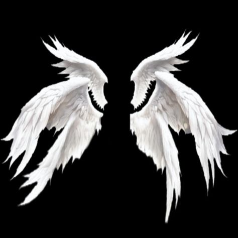 Angel Wing Refrences, Huge Wings Drawing, Wing Aesthetic Angel, 6 Wings Angel, Angel Wing Drawing Reference, Wings Covering Eyes, Human With Wings, Seraph Wings, Gacha Wings