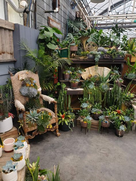 Garden Centre Displays, Retail Display Ideas, Garden Center Displays, Ideas For Garden, Nursery Garden, Nomad Life, Shop Displays, Plant Seeds, Patio Plants