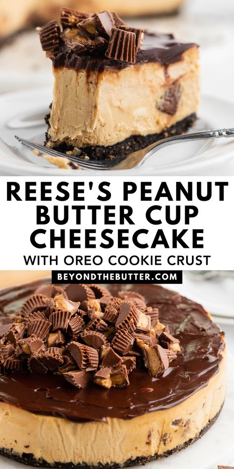 Reese Peanut Butter Cheesecake, Reese’s Cheesecake, Reese's Peanut Butter Cheesecake, Cheesecakes Recipes, Peanut Butter Cheesecake Recipes, Cup Cheesecake, Oreo Crust Cheesecake, Peanut Butter Cup Cheesecake, Peanut Butter Dessert Recipes