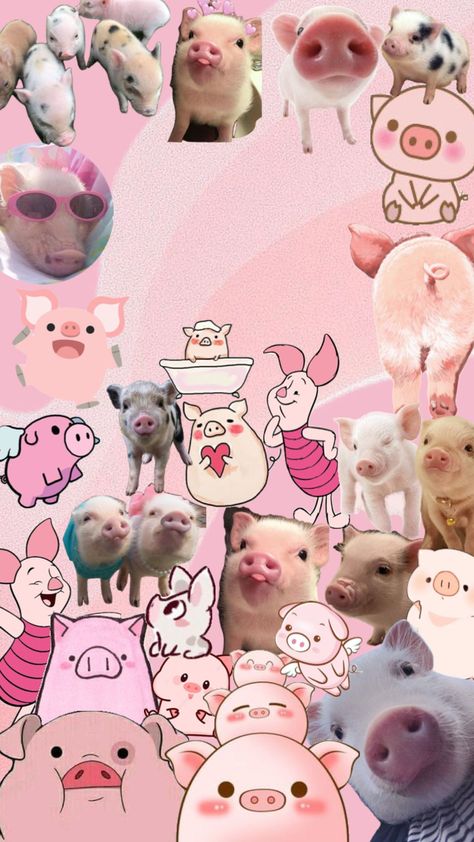 piggy wallpaper for my lil sis🥰🫶 #piglet #pigs #pig #pink Piggy Wallpaper, Pig Wallpaper, Lil Sis, Cute Pigs, Screen Wallpaper, Create Collage, Creative Play, Pigs, Phone Wallpaper