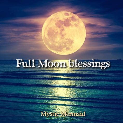 “We’re all wishing on the same moon.” Full Moon Blessings, Happy Full Moon, Full Moon Day, Full Moon Spells, Moon Day, Moon Spells, Love Moon, Shoot The Moon, Good Night Moon