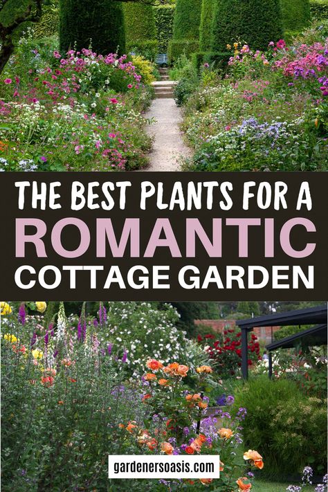 How To Create A Romantic Cottage Garden Small Garden Cottage, Backyard Cottage Garden, Front Yard Cottage Garden, Cottage Front Garden, Cottage Garden Design Ideas, Barn Landscaping, Cottage Rose Garden, Gardens For Beginners, Modern Cottage Garden