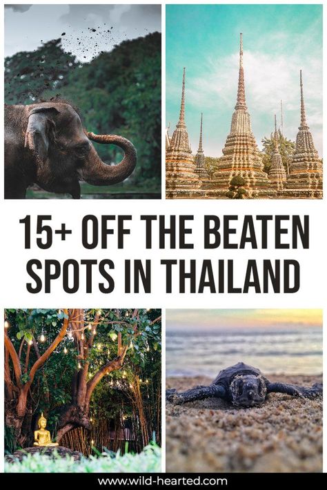 Looking to visit Thailand off the beaten track? Here are more than 15 spots that are under the radar that you should definitely visit!  thailand off the beaten path | thailand off the beaten track | off the beaten path thailand | thailand places to visit | sustainable travel | responsible travel | vegan travel | ethical travel | #thailand #asia #southeastasia Thailand Off The Beaten Path, Thailand Places, Asian Destinations, Travelling Thailand, Thailand Travel Destinations, Thailand Itinerary, Thailand Vacation, Asian Travel, Ethical Travel