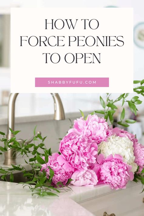 Peonies Arrangement Vase, Peony Arrangement Ideas, Peony Floral Arrangements, Closed Peonies, Peony Diy, Peony Flower Arrangements, Peonies Centerpiece, Peony Arrangement, Peony Bud