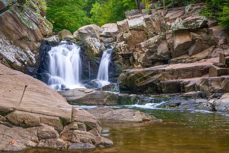 Looking for the best things to do in Falls Church VA? From historical sights to hikes to craft beer... these are some of the top attractions in Falls Church! Falls Church, Nature Preserve, Craft Beer, Virginia, The Top, Things To Do, Hiking, Beer, Water