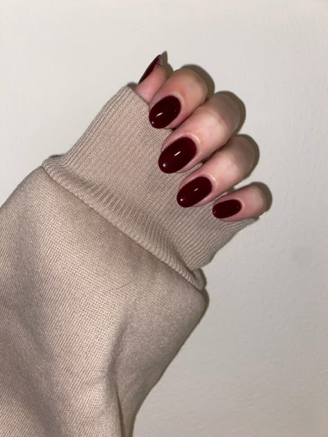 She is showing her nails which are short, almond shaped and dark red Dark Bordeaux Nails, Dark Red Round Acrylic Nails, Dark Cherry Red Nails Short, Short Round Dark Nails, Deep Red Oval Nails, Short Round Dark Red Nails, Short Oval Nails Winter, Dark Nails Oval, Deep Red Short Nails