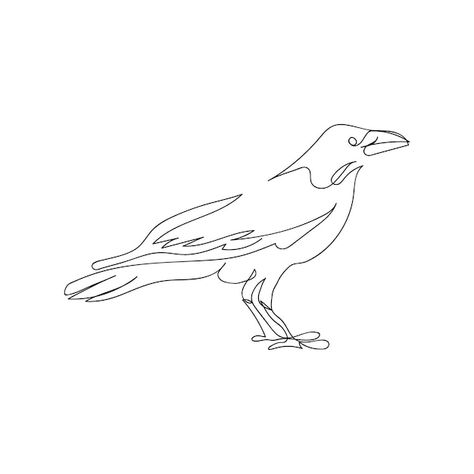 Crow Line Tattoo, Crow Outline Tattoo, Crow Line Art, Raven Line Art, Simple Raven Tattoo, Small Crow Tattoo, Ankle Band Tattoo, Rabe Tattoo, Continuous Line Tattoo