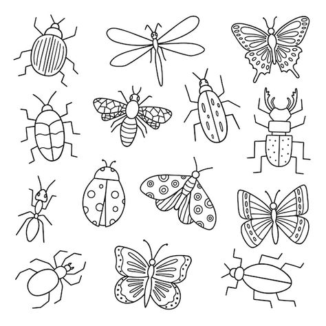 Vector insects doodle set bugs butterfly... | Premium Vector #Freepik #vector #bug #insect #dragonfly #moth Bug Doodles To Draw, Bug Drawing Insects, Insects Doodle, Doodle Insects, Bugs Doodle, Cute Bug Drawing, Bug Sketches, How To Draw Bugs, Bug Doodles