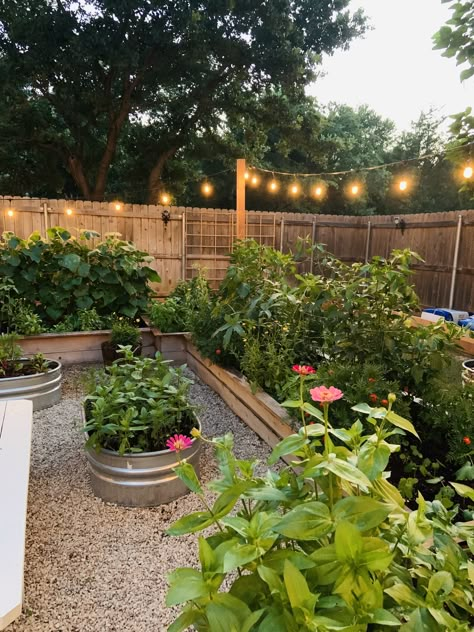 4 (4x4) & 3 (3x12) raised beds Garden Goals Backyards, Small Yard Garden Ideas Raised Beds, Raised Garden Against Fence, Raised Beds Front Yard, Raised Garden Inspiration, Small Backyard Raised Garden Beds, Fenced Garden With Raised Beds, Backyard Garden Boxes, Garden With Raised Beds