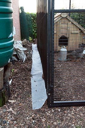 Rat proof chicken cage and free ranging run Chicken Fence, Rabbit Run, Metal Animal, Chicken Run, Mesh Fencing, Chicken Cages, Rabbit Cage, A Rat, Chicken Runs