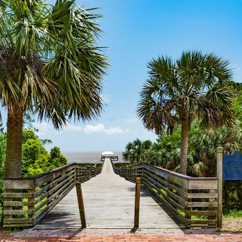 Best Places In Florida, Apalachicola Florida, Cape San Blas, St George Island, Summer Vacation Spots, Places In Florida, Get Up And Go, Florida Panhandle, Adventure Trip