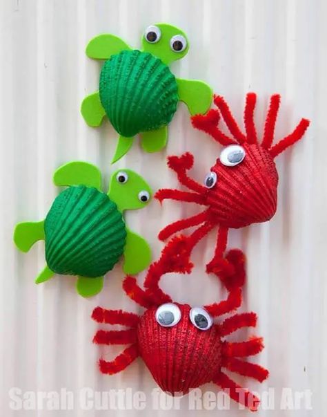 Ocean Kids Crafts, Crab Crafts, Crab Shells, Ocean Kids, Sea Crafts, Vbs Crafts, Ocean Crafts, Beach Crafts, Seashell Crafts