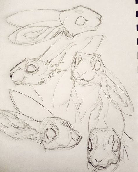 Different Angles, Arte Sketchbook, Art Tattoos, Creature Concept Art, Animal Sketches, Drawing Practice, Art Tutorials Drawing, Sketchbook Art Inspiration, Art Inspiration Drawing