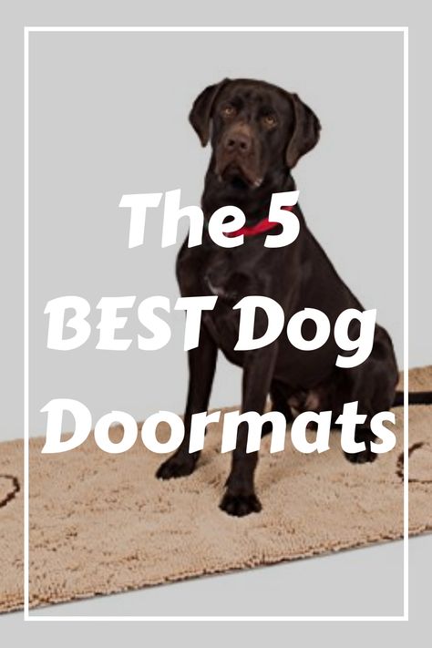 But with hundreds of options, deciding which is the best dog doormat can be overwhelming. That is where we come in! We’ve done the research and rounded up the Dog Door Mat, Dog Water Bowls, Entry Mats, Muddy Paws, Paw Pads, Positive Reinforcement, Dog Mat, Dog Hair, Training Your Dog