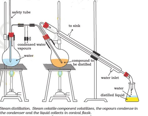 steam distillation method | Steam distillation: Steam Distillation Essential Oils, Paper Chromatography, Phase Diagram Chemistry, Organic Chemistry Hybridization, Fractional Distillation, Chemistry Apparatus Lab Equipment, Chemistry Lab Equipment, Chemistry Basics, Science Equipment