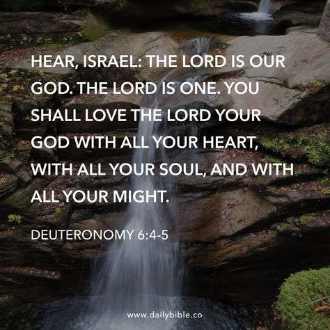 Deuteronomy 6, Sacred Scripture, Beautiful Scripture, Bless The Lord, Daily Scripture, Bible Facts, Inspirational Scripture, Daily Bible Verse, Love The Lord