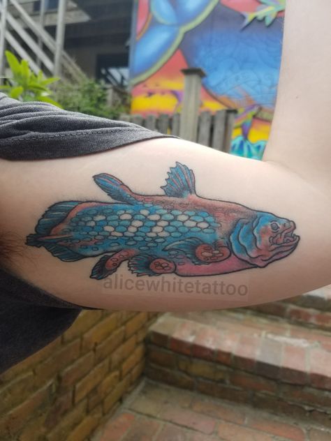 Coelacanth Tattoo, Newt, Jesus Fish Tattoo, Tattoo Ideas, Tattoos, White, Art