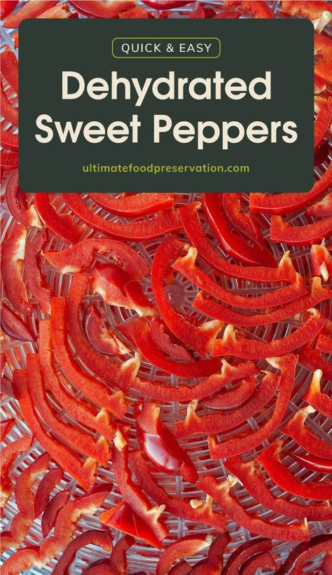 Food Dehydrator Recipes, Dry Peppers, Pepper Harvest, Dehydrated Banana Chips, Dehydrator Recipes Fruit, Sweet Pepper Recipes, Red Pepper Recipes, Homemade Beef Jerky, Homestead Recipes