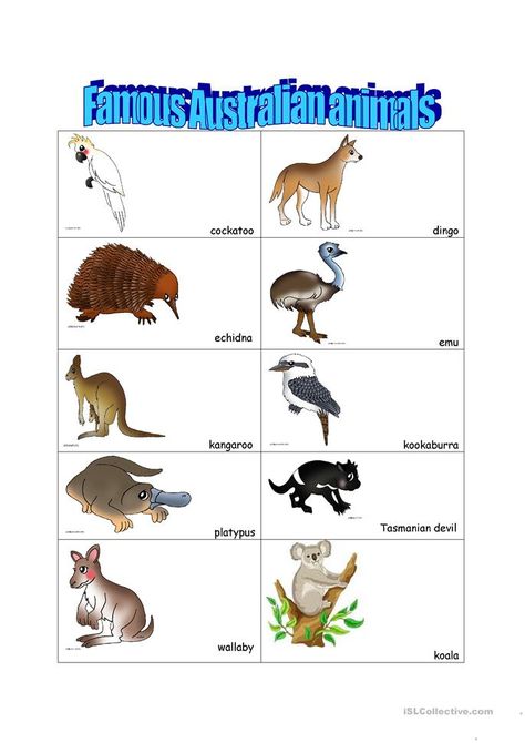 Australian animals - English ESL Worksheets for distance learning and physical classrooms Australian Activities, Australia For Kids, Animals Worksheet, Australia Crafts, Animal Worksheets, World Thinking Day, Australia Animals, Historia Universal, Australian Bush