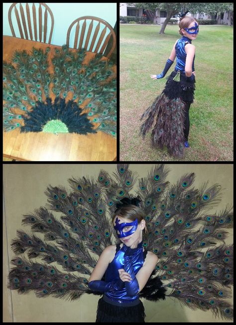 Homemade Peacock Costume with 185 real feather tail fan (that opens/closes), shiny blue highneck top and fingerless gloves, with a matching mask:) Diy Peacock Costume, Girls Peacock Costume, Peacock Costume Diy, Feather Bustle, Peacock Halloween Costume, Peacock Halloween, Diy Peacock, Peacock Tutu, Peacock Skirt