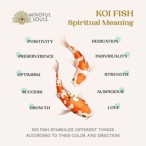 What Do Koi Fish Symbolize, Koy Fish Meaning, Koi Fish Meaning Symbols, Coi Fish Meaning Japanese Koi, Koi Fish Spiritual Meaning, Coy Fish Tattoo Meaning, Twin Fish Tattoo Meaning, Coy Fish Meaning, Koi Fish Symbolism