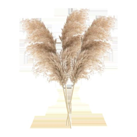 Pink Boho Bedroom, Enneagram Type 4, The Enneagram, Dried Pampas, Raw Color, Pampas Grass Decor, Flower Graphic Design, Socialite Family, Dry Plants