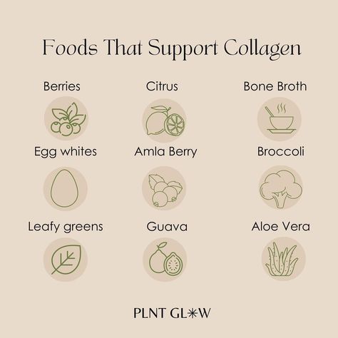 Plnt Glow Skincare & Beauty on Instagram: “Yes, you can eat your way to firmer skin & protect against signs of aging ✨👌✨ The thing I love about foods for increasing collagen is,…” Best Facial Cleanser, Glow Skincare, Firmer Skin, Glowing Skincare, Facial Cleansers, Affordable Skin Care, Facial Moisturizers, Skin Firming, The Thing