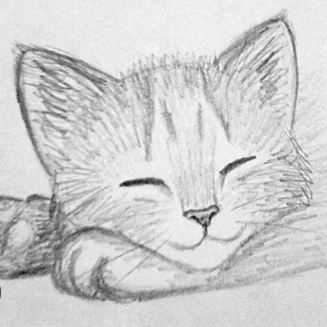 Sketch Ideas Cute, Sketch Pencil Easy, Cat Face Sketch, Cat Drawing Ideas, Easy Sketches For Beginners, Sketch Cat, Simple Cat Drawing, Sketch Aesthetic, Draw A Cat