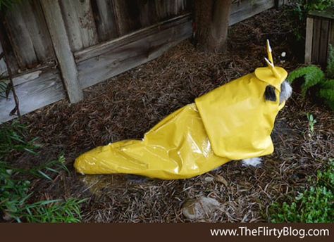 Banana slug pug Slug Costume, Banana Slug, Halloween Dog Costume, Cute Dog Costumes, Chia Pet, Pound Puppies, Cutest Dog Ever, Baby Costume, Petting Zoo