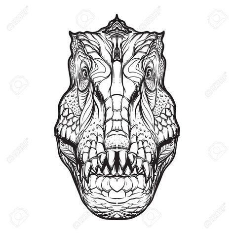 Ancient Animals, Face Illustration, Eye Drawing, Front View, T Rex, Geometric Tattoo, Humanoid Sketch, Wallpapers, Stock Photos