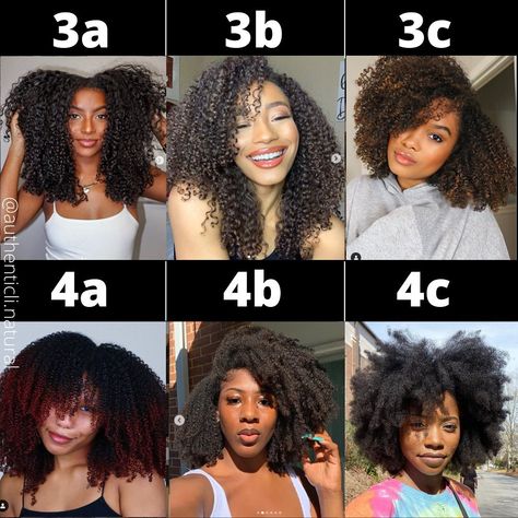 3 A Hair Type, 4c Layered Hair, Different Hair Types Black Women, 4c Type Hair, Defined Type 4 Hair, 3c 3b Curly Hair, Hair Chart Texture, Curl Hair Types, 3 B Hairstyles