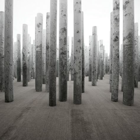 Abbas Kiarostami, Hidden Forest, Installation Design, Brutalism, Sculpture Installation, Photography Projects, Stage Design, Land Art, Exhibition Design